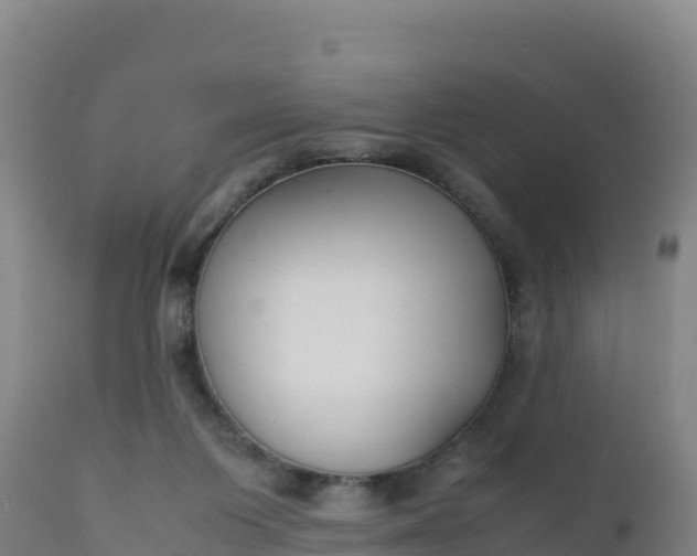 X0000112400119200908281800
