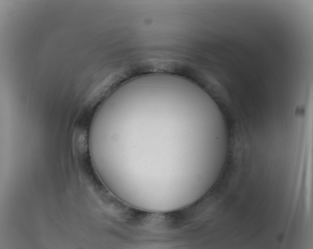 X0000112400123200908281759