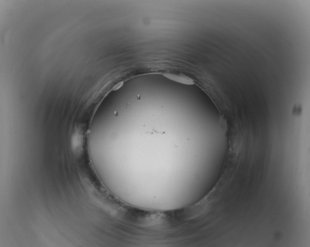 X0000112400124200908281759
