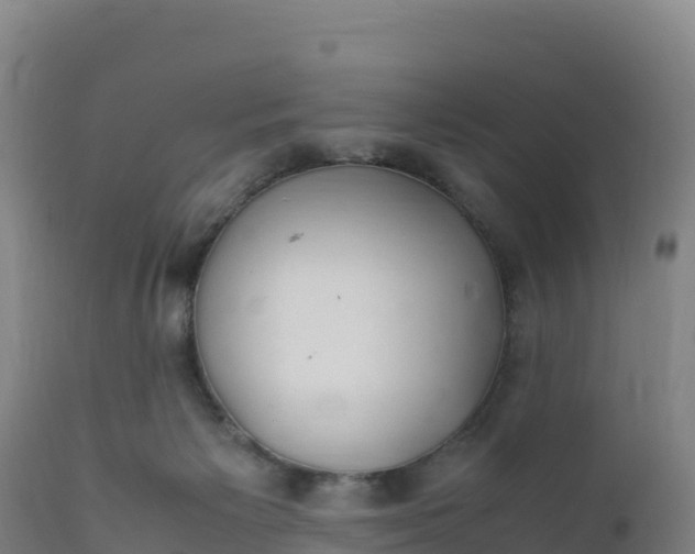 X0000112400125200908281759