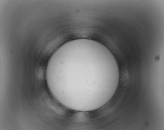 X0000112400126200908281759