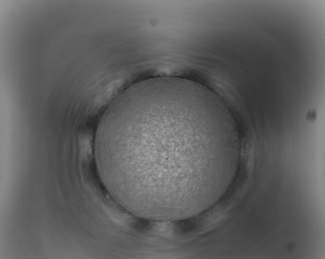 X0000112400127200908281759