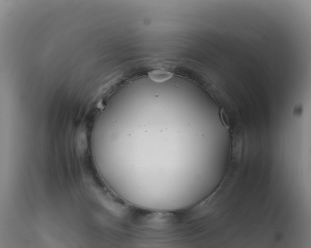 X0000112400128200908281759
