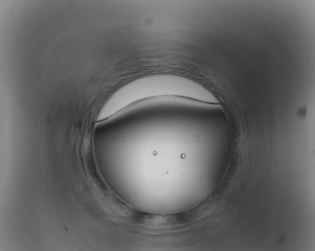 X0000112400129200908281759
