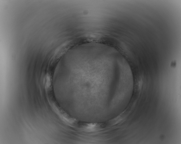 X0000112400130200908281759