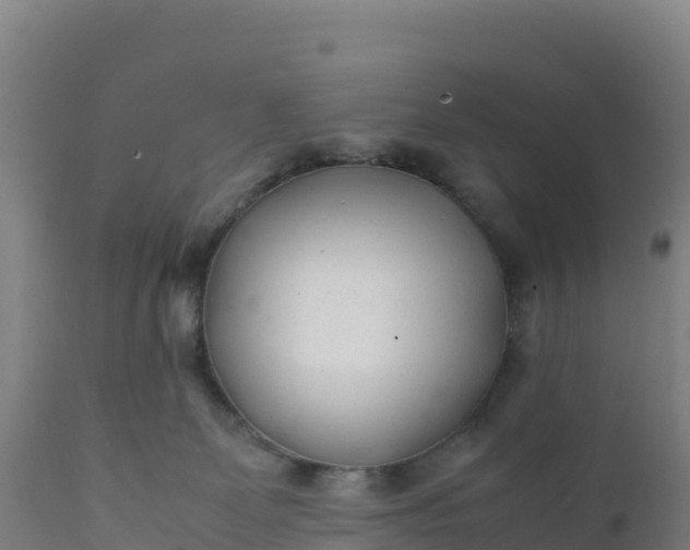 X0000112400131200908281759