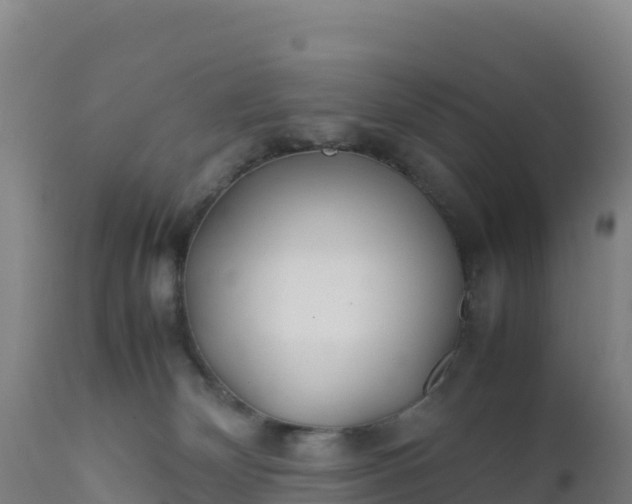 X0000112400132200908281759