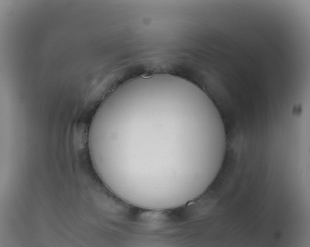 X0000112400133200908281759