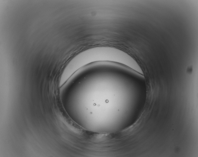 X0000112400136200908281759