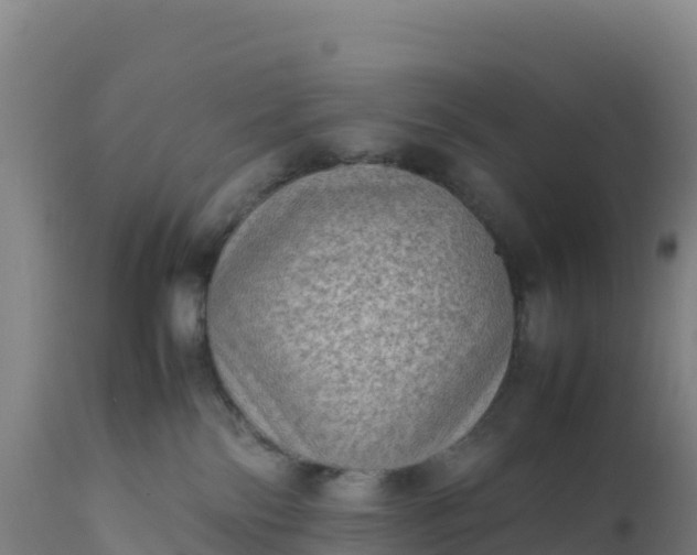 X0000112400138200908281759