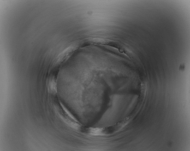 X0000112400143200908281759