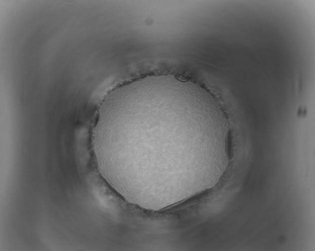 X0000112400144200908281759