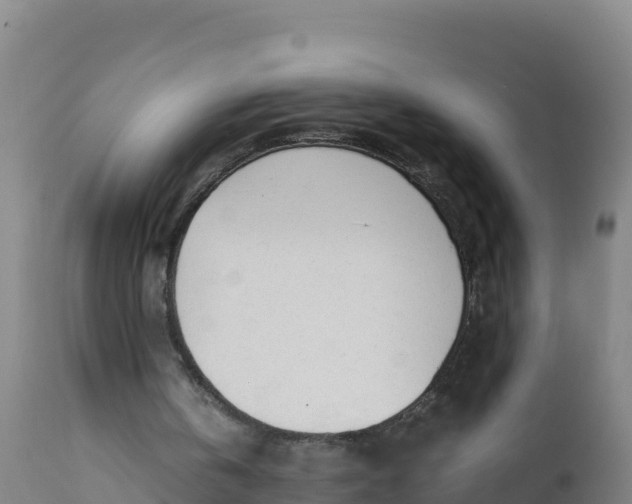 X0000112400146200908281758