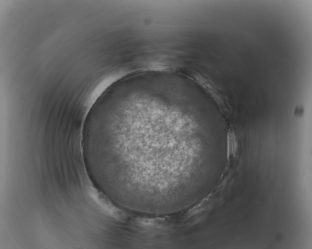 X0000112400147200908281758