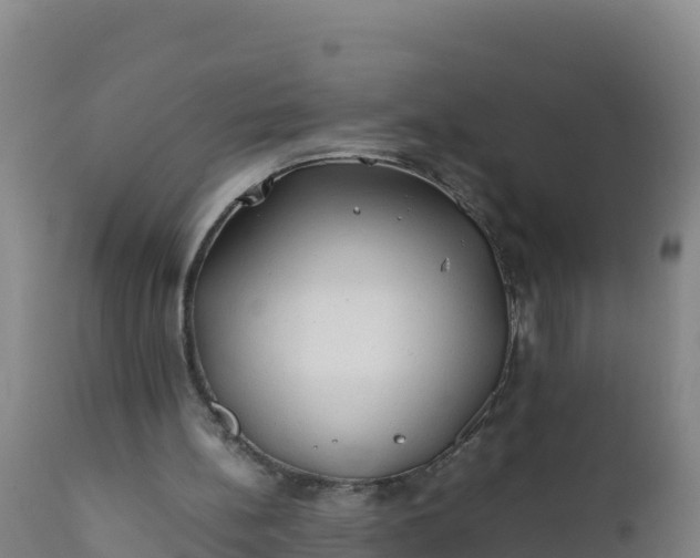 X0000112400148200908281758