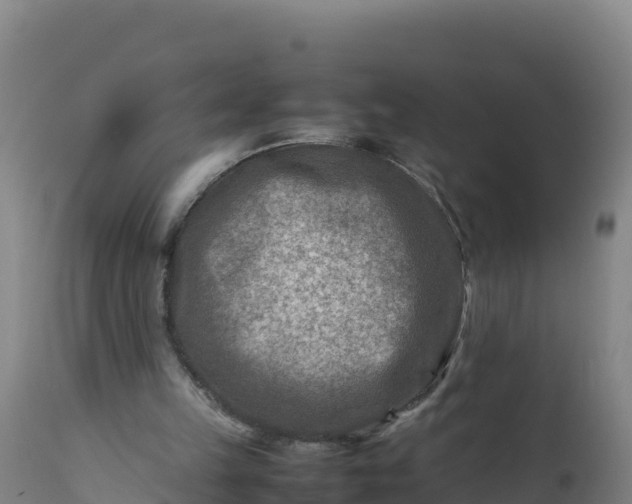 X0000112400149200908281758