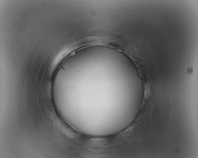 X0000112400150200908281758