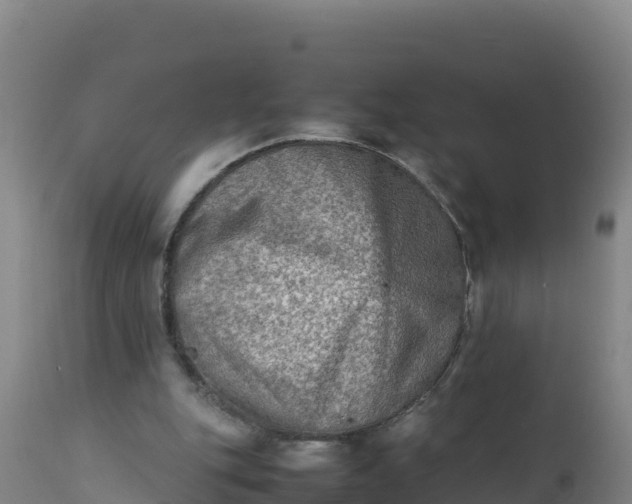X0000112400151200908281758