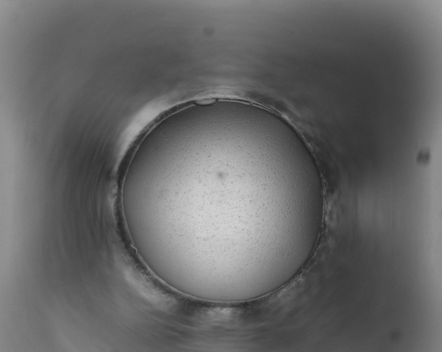 X0000112400152200908281759