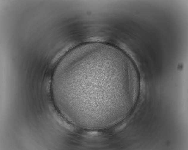 X0000112400153200908281759
