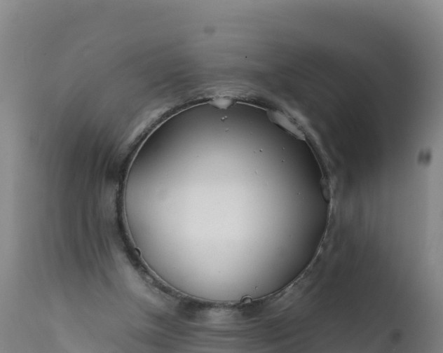 X0000112400154200908281759