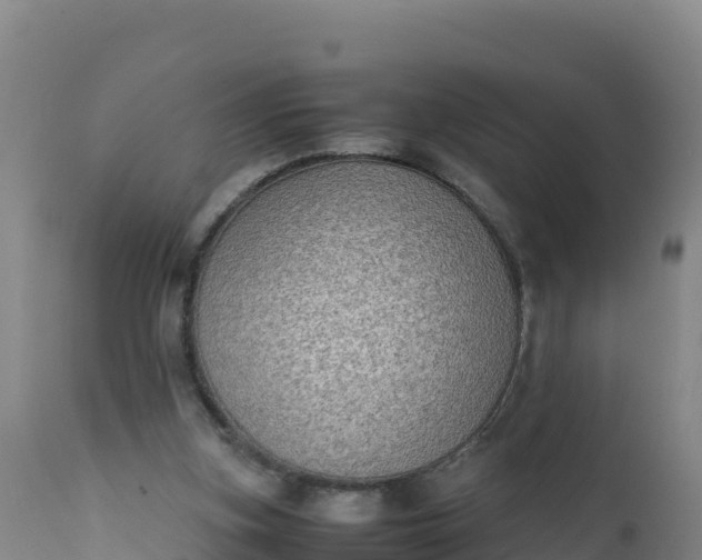 X0000112400155200908281759