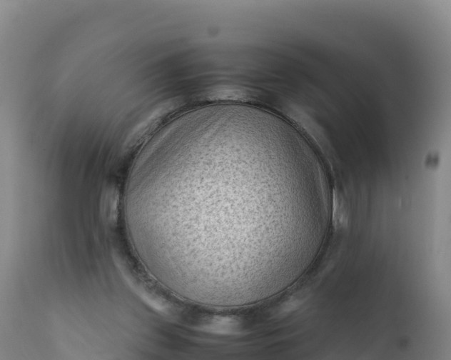 X0000112400157200908281759
