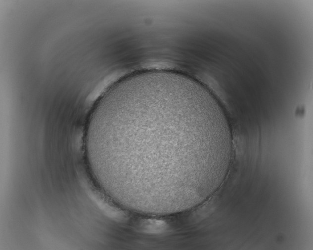 X0000112400159200908281759