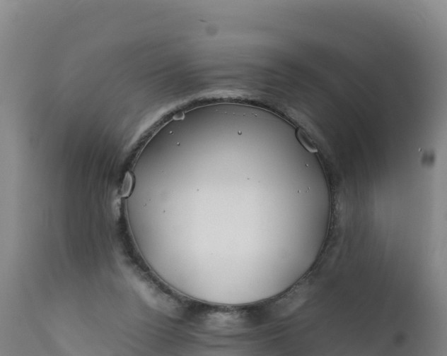 X0000112400160200908281759