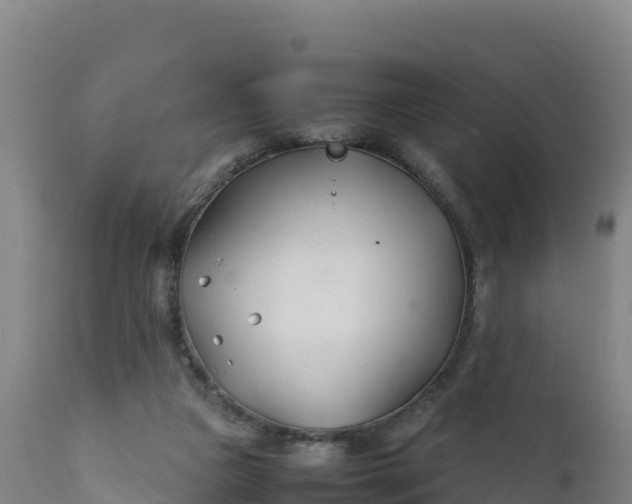 X0000112400161200908281759