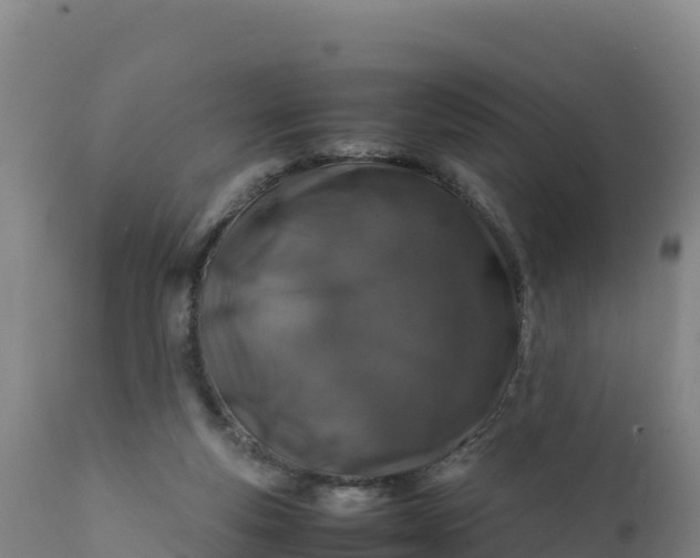 X0000112400163200908281759