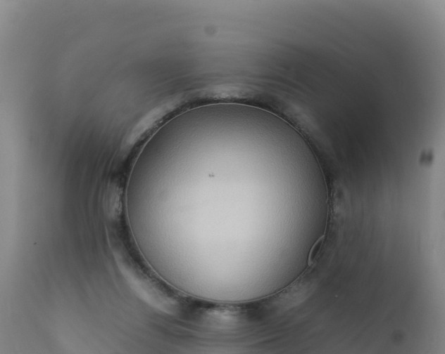 X0000112400164200908281759