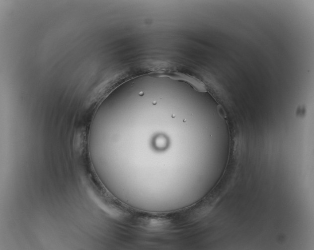 X0000112400165200908281759