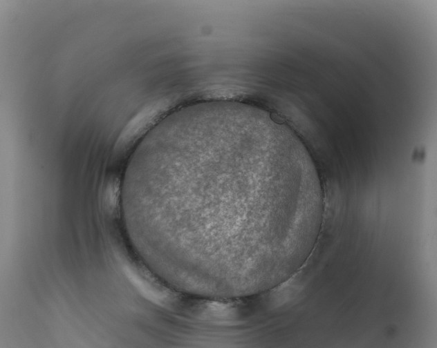 X0000112400166200908281759