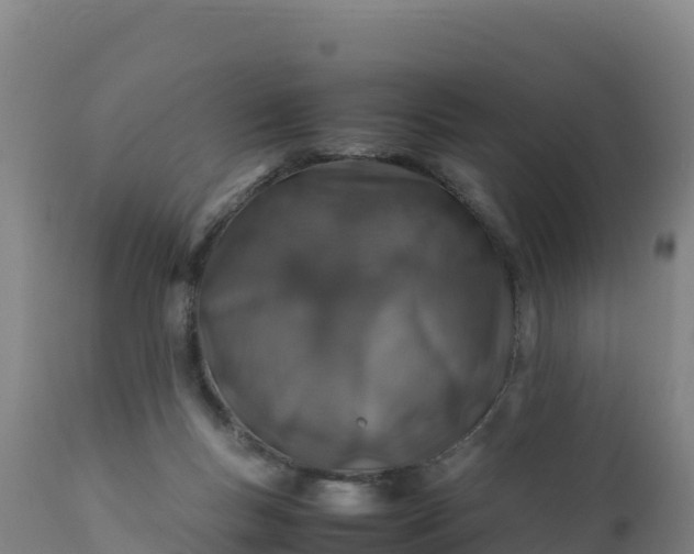X0000112400167200908281759