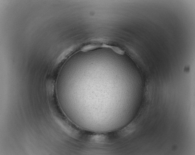 X0000112400168200908281759