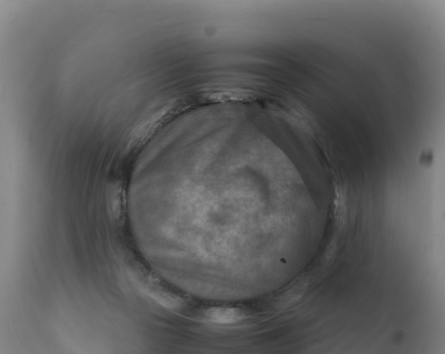X0000112400169200908281759