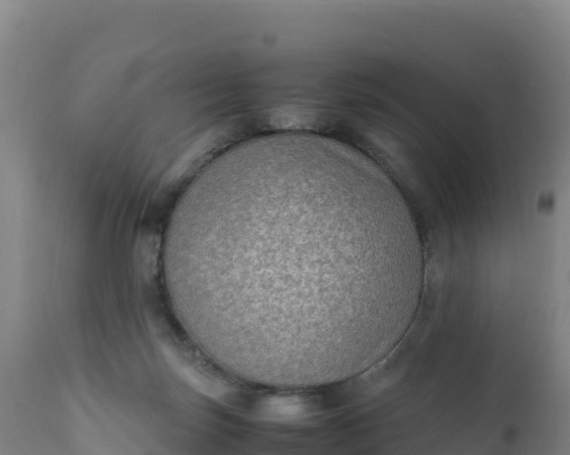 X0000112400171200908281759