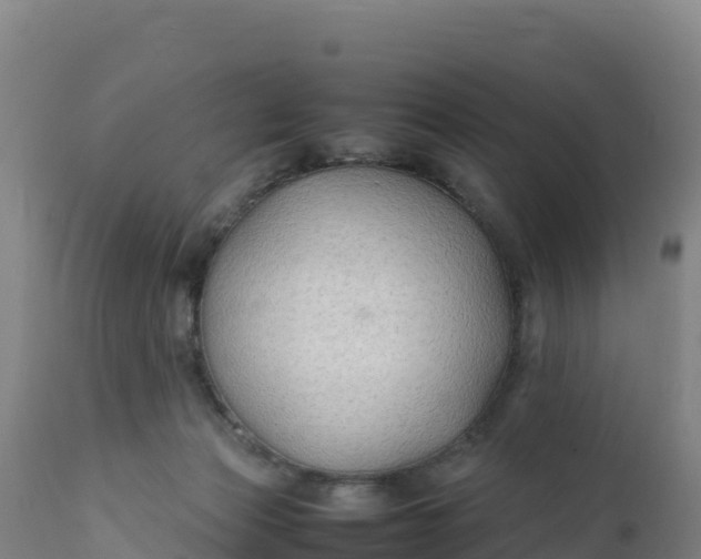 X0000112400173200908281759