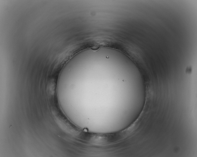 X0000112400174200908281759