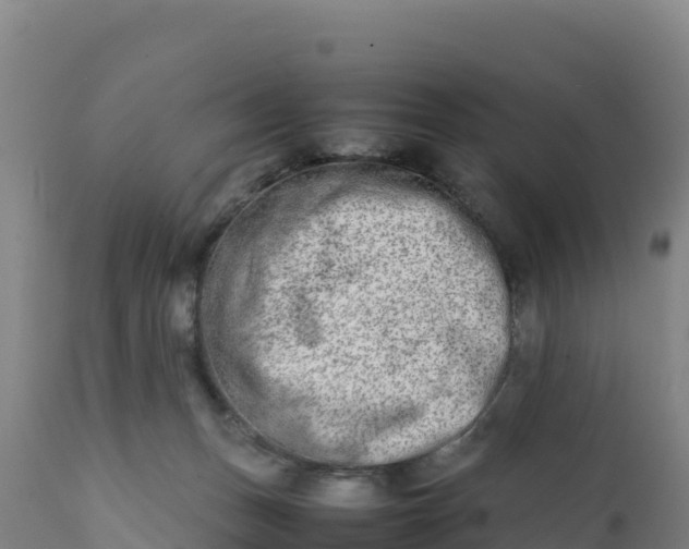 X0000112400175200908281759