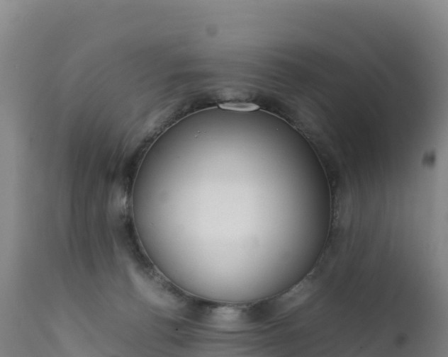 X0000112400176200908281759