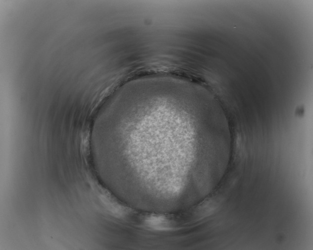 X0000112400177200908281759