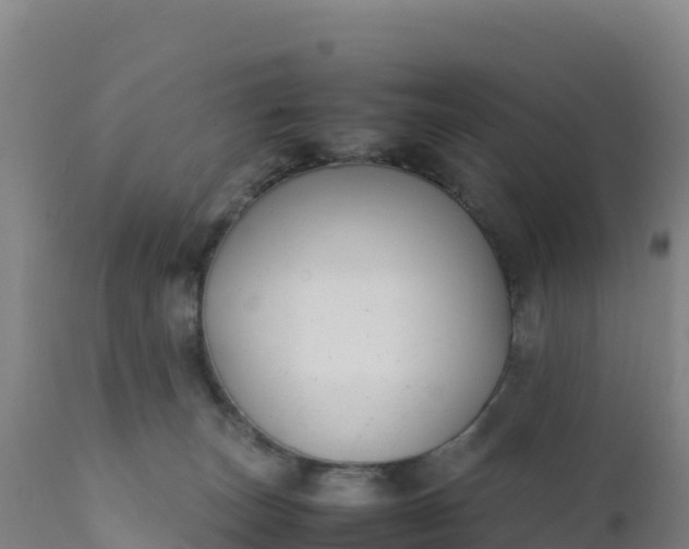 X0000112400179200908281759