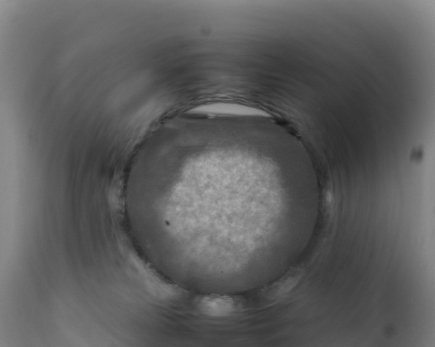 X0000112400181200908281759