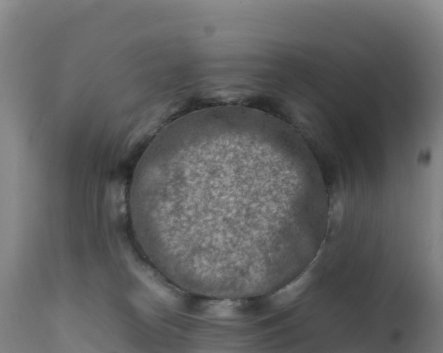 X0000112400182200908281759