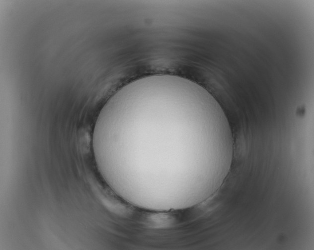 X0000112400183200908281759