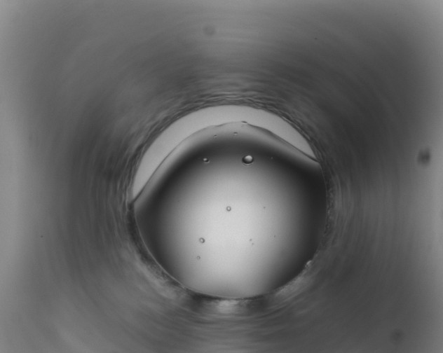 X0000112400184200908281759
