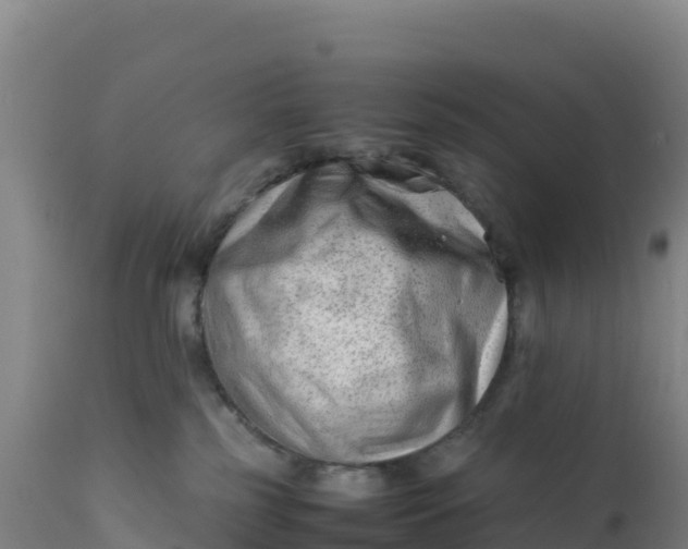 X0000112400185200908281759