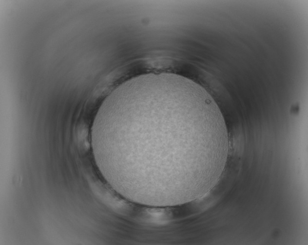 X0000112400187200908281759
